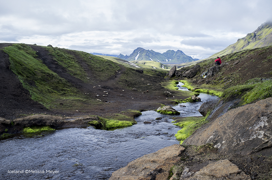 Live site using Type & Grids